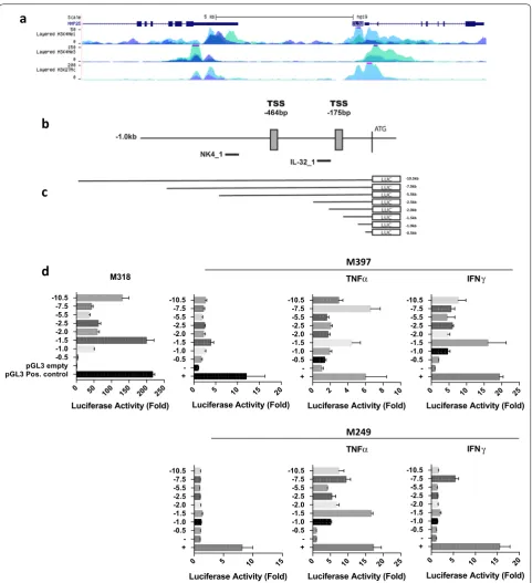 Fig. 4 IL32 Promoter Activity. a Encode data set, b Promoter region of IL32. TSS determined from 5′RACE are indicated at − 464 bp and − 175 bp from the ATG