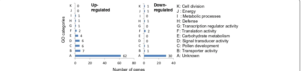 Figure 2 Functional categorization of cold responsive anther genes in ICC16349. The number of genes were finalized using the filteringcriteria of fold change >2.0 and P-value correction ≤0.05 by FDR (Benjamini-Hochberg)