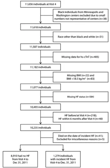 Figure 1. Development of the Study Cohort