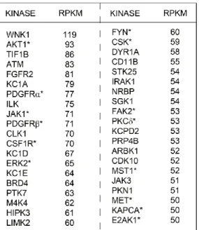 Table 3.2 Top 40 kinases expressed in patient claudin-low tumor.  RPKM values for  each kinase determined by RNA-seq