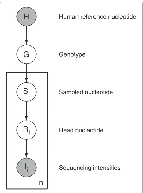 Figure 3 The graphical model used in SNPest. Circles representrandom variables. The two top RVs are global for a given position,whereas the boxed part of the model denotes the n individual readscovering the specific position.