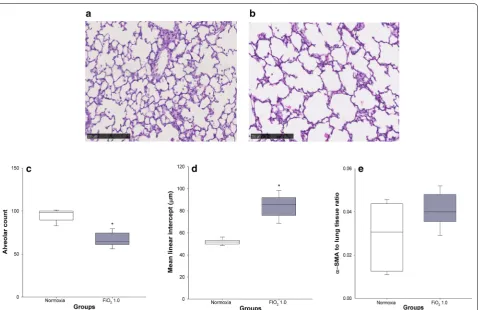 Fig. 3 Lung histology and morphometric analysis. Normoxic and hyperoxic study groups are illustrated with white and grey box plots, respectively
