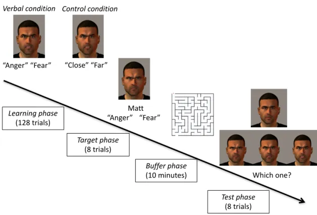 Figure 1. 	  Overview of Study 1. Participants in the verbal condition learned to associate “non- “non-stereotypical” facial expressions with emotion words