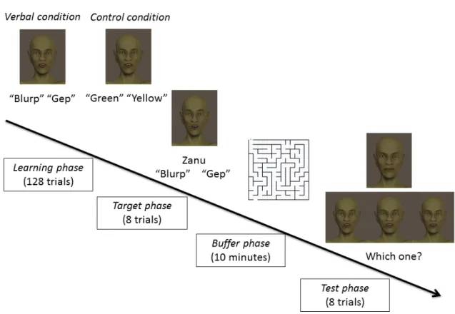 Figure 4. 	  Overview of Study 2. Participants completed learning, target and test phases similar to Study  1