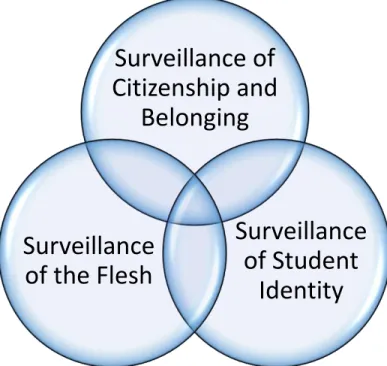 Figure 5: Rather than being seen as three separate forms of surveillance, the three domains of  surveillance should be understood as interrelated forms of oppression 