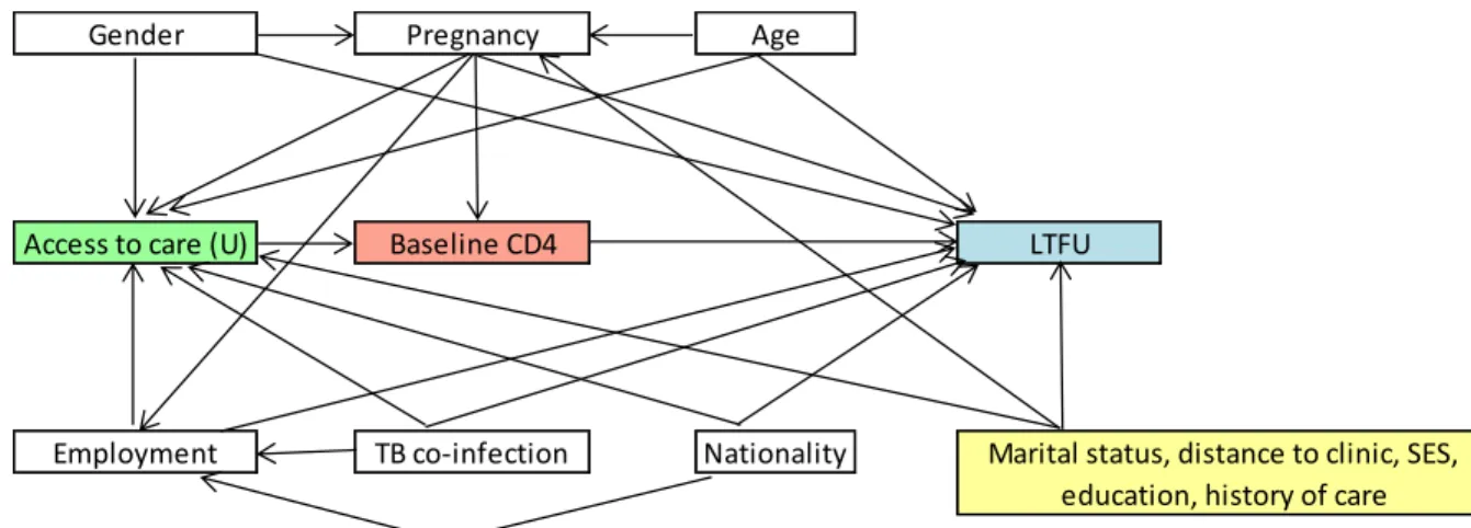 Figure 3. Directed acyclic graph (DAG) for potential confounders of the association  between baseline CD4 value and loss to follow-up
