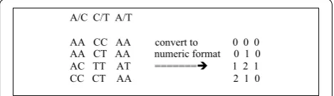Fig. 1 GWAS with four subjects and three SNPs shown on the left. On the right is the numeric format of the GWAS