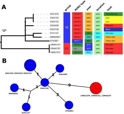 FIG 1 Phylogenetic analysis of 1,972 SNP positions identiﬁed in whole-genome sequencing data of 11 isolates mapped to H37Rv genome.Groups deﬁned by a maximum distance of 5 SNPs between group members are indicated in red (group 1) and blue (group 2)
