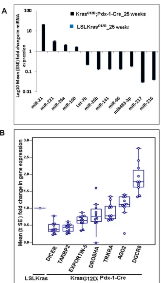 Figure 1: The miRNA array revealed several upregulated and downregulated miRNAs in KrasG12D; Pdx-1-Cre mice at 25 weeks of age