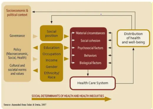 Figure 2. Factors driving health outcomes created by the Commission on Social Determinants of  Health of the World Health Organization (World Health Organization Commission on Social  Determinants of Health, 2008)