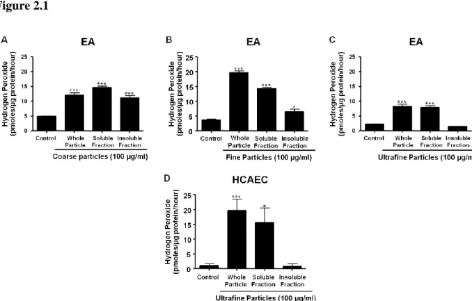 Figure 2.1  Exposure to soluble UF induces rapid H 2 O 2  generation by EA and HCAEC.  