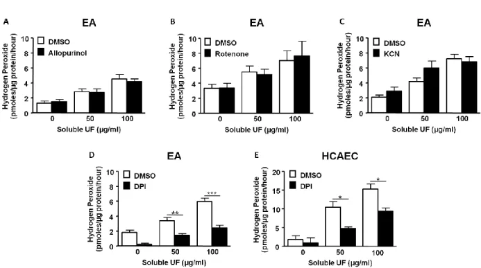Figure 2.3  Soluble UF-induced ROS production is dependent on NOX enzymes.  
