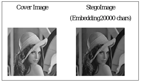 Fig.5  Modified block of cover image 
