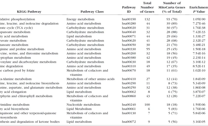 Table 3 presents the associations for the 22 individual KEGG pathway-defined mitochondrial gene-sets and POAG, NTG, and HTG