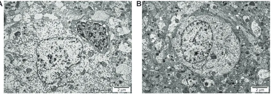 Table 4 Biochemical indices of blood serum of chicken embryos treated with pristine graphene