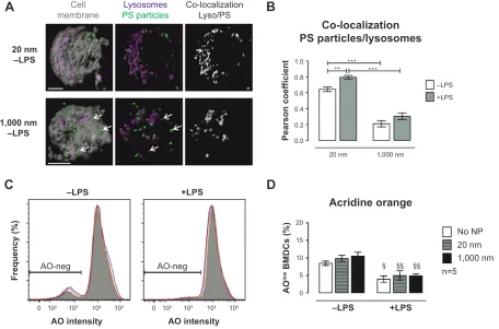 Figure 7 Interaction of PS particles with lysosomes analyzed by LSM and flow cytometry.Notes: (A) Upper micrographs show co-localization with 20 nm Ps particles in immature BMDcs (−lPs), whereas lower micrographs show co-localization with 1,000 nm Ps parti