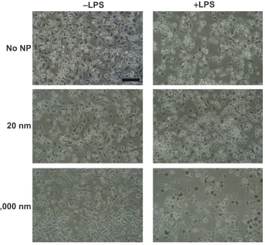 Table S1 size measurement of 20 nm and 1,000 nm polystyrene particles employing Dls