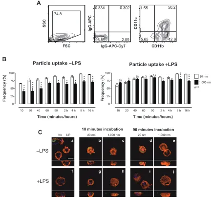 Figure 2 Uptake of PS particles by BMDCs determined by flow cytometry and LSM.Notes: (A) Flow cytometry analysis included gating on cD11b+/cD11c+ BMDcs based on their relevant isotype controls