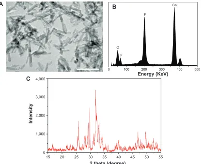 Figure 1A presents the TEM image of n-FA. It can be seen that the morphology of the synthesized n-FA was uniformly rod-like grains with a size of around 40 nm in diameter and 100 nm in length