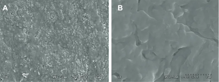 Figure 2 Scanning electron microscopy images of surface morphology of (A) nanofluorapatite (n-FA)/polyamide 12 (PA12) composite with 40 wt% n-FA and (b) PA12.
