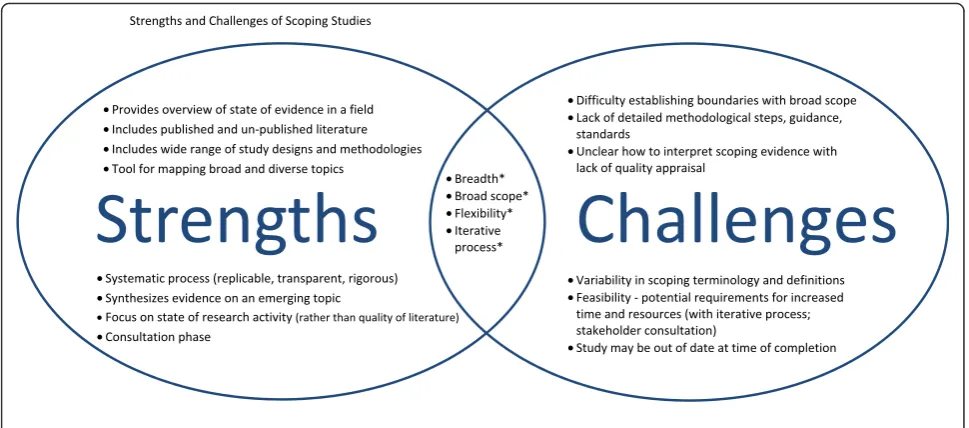 Fig. 1 Strengths and Challenges of Scoping Studies