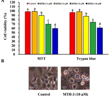 Figure 2. MTH-3 reduces cell viability and affects cell morphology in  MDA-MB-231 cells