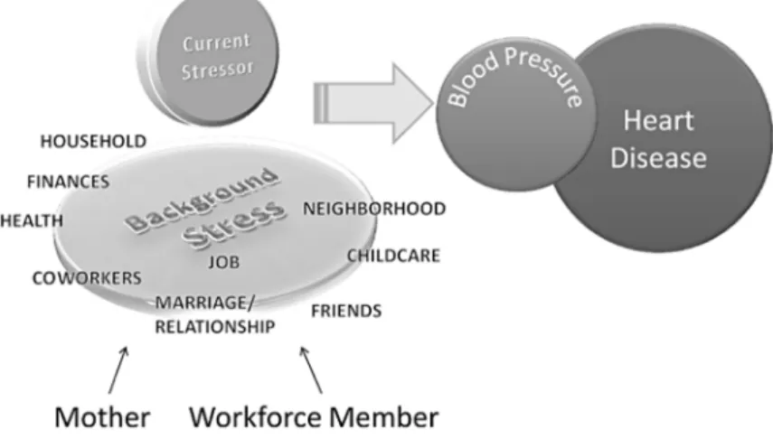 Figure 2.  Multiple Roles, Stress Burden, and Heart Disease Risk 
