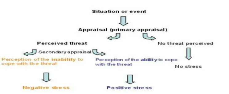 Figure 3. The Transactional Model of Stress and Coping               