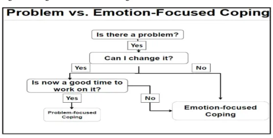 Figure 4. Cognitive Process Leading to Determination of Problem vs. Emotion-Focused Coping 