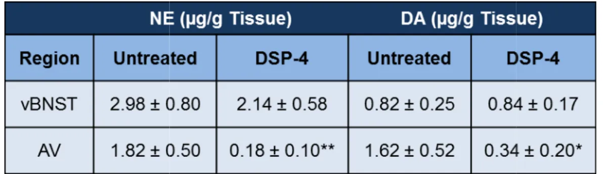 Table 2.1. Catecholamine tissue content in the AV and the vBNST for untreated and DSP