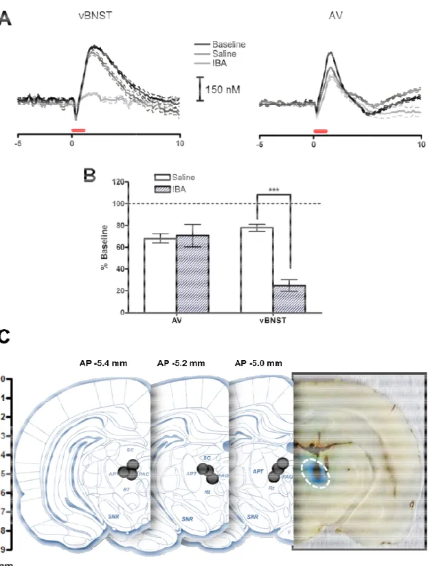 Figure 2.4. Effects of IBA infusion into the DNB on electrically