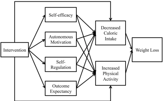 Figure 3.1. Conceptual model of the REFIT intervention  