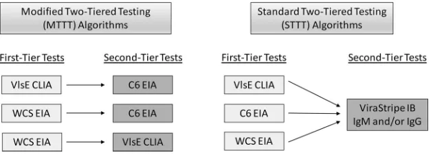 FIG 1 MTTT and STTT algorithms evaluated in this study.
