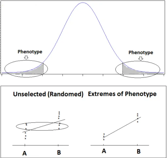 Figure 2.1 Mechanism to increase power using extreme phenotype. Select a subset of samples  with extreme phenotype measures from the entire sample