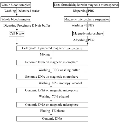 Figure 1 Flow chart of DNa extraction processes. Abbreviations: PBs, phosphate buffer solution; Peg, polyethylene glycol.