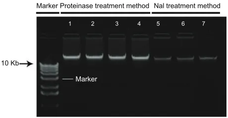 Table 1 genomic DNa from blood with different treatment methods