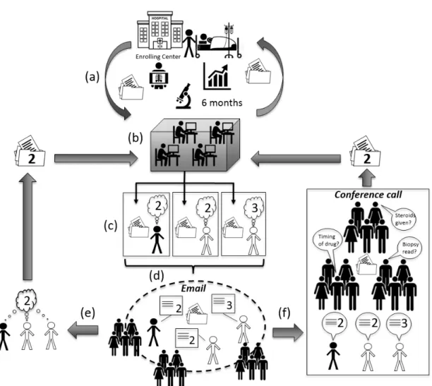 Figure 2. Drug-Induced Liver Injury Network (DILIN) consensus causality assessment. (a) Six months  of clinical information are collected at the enrolling center and communicated to the data coordination  center