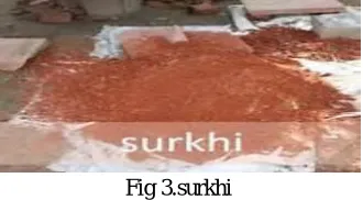 Fig 3.surkhi 