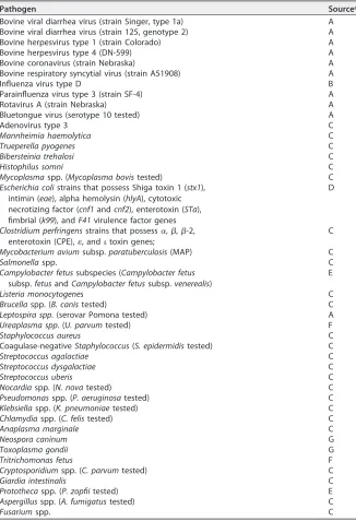 TABLE 1 Validated isolates and reference strains and their sources