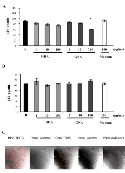 Fig. 2B). To investigate the efficiency of each lectin to