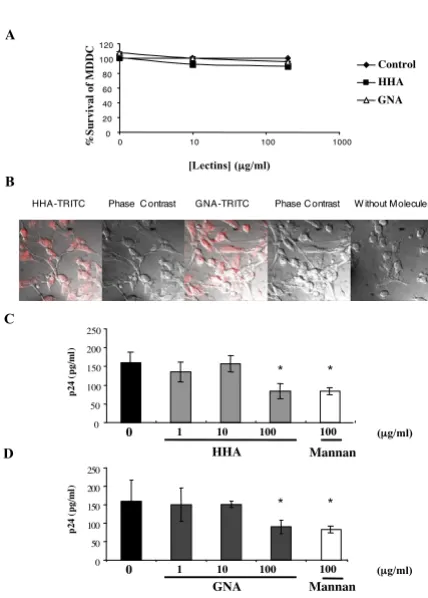 Figure 4B, both HHA and GNA interacted with receptors
