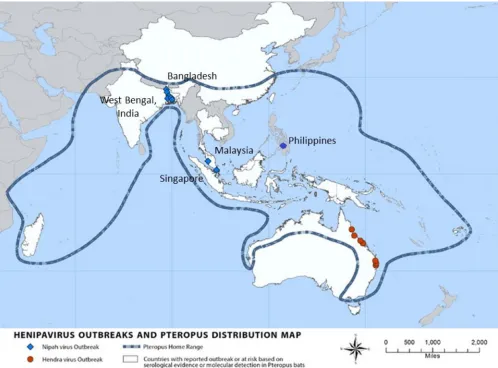 FIG 2 Map of henipavirus outbreaks and distribution of( Pteropus bats. Adapted from Nipah virus distribution map, Centers for Disease Control and Preventionwww.cdc.gov/vhf/nipah/outbreaks/distribution-map.html).