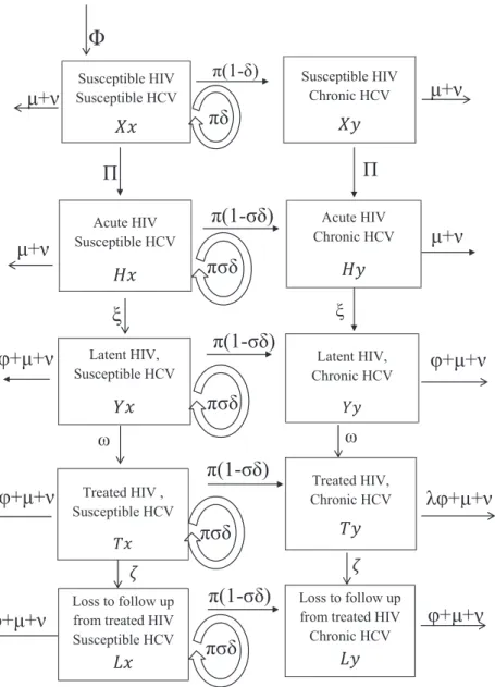 Figure 2. Model schematic showing the HCV and HIV infection states and transitions. Variables are denoted by capital letters for the HIV infection states (X,H,Y,T and L representing susceptible, acute, latent, ART and ART lost to follow-up, respectively) a
