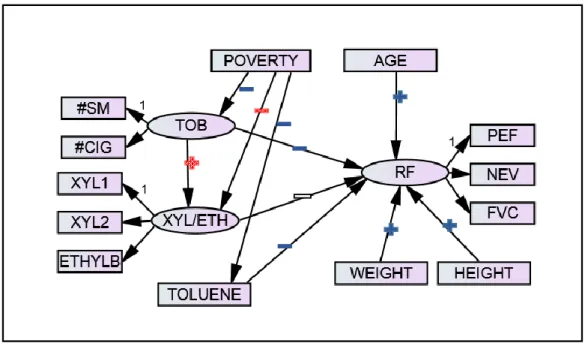 Figure 2. Final SEM of respiratory function, tobacco smoke exposure, and VOCs with significance and  direction  indicators