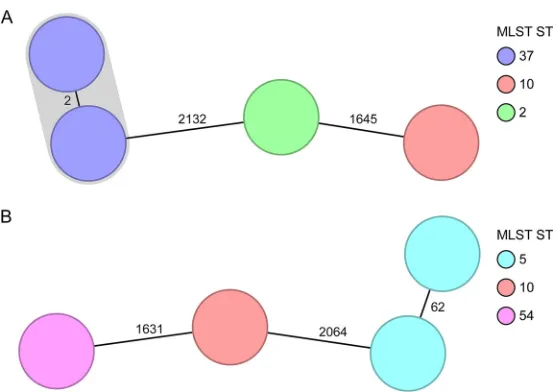 FIG 2 Minimum-spanning tree of two spatiotemporal clusters (9). Each node represents a unique cgMLSTallele proﬁle