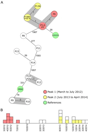 FIG 3 Minimum-spanning tree and epidemiological curve illustrating a long-term spatiotemporaldifﬁcile C