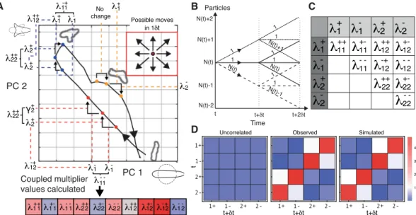 Figure 2.  MaxCal trained simulations reproduce local correlations. (A) The panel shows the trajectory of a cell  in shape space over time as it shortens, splits pseudopods, commits to one pseudopod and lengthens again