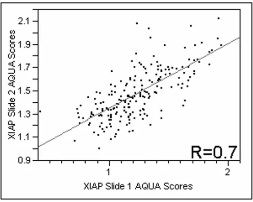 Figure 1different locations within the tumorRegression plot of XIAP staining comparing scores from two slides containing histospots taken from the same patients, from Regression plot of XIAP staining comparing scores from two slides containing histospots taken from the same patients, from different locations within the tumor.