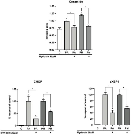 Figure 5: Effect of myriocin on total hepatic ceramide levels and ER stress. PMH were incubated with PA with or without MA (0.5mM) each for 6 hours in the presence of myriocin (20µM) and processed for total ceramide determination by HPLC A