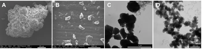 Figure 1 scanning electron microscopy (A and B) and transmission electron microscopy (C and D) micrographs of the ha particles